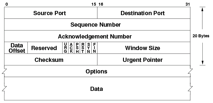 TCP header format